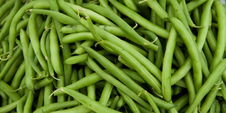 fasole-verde