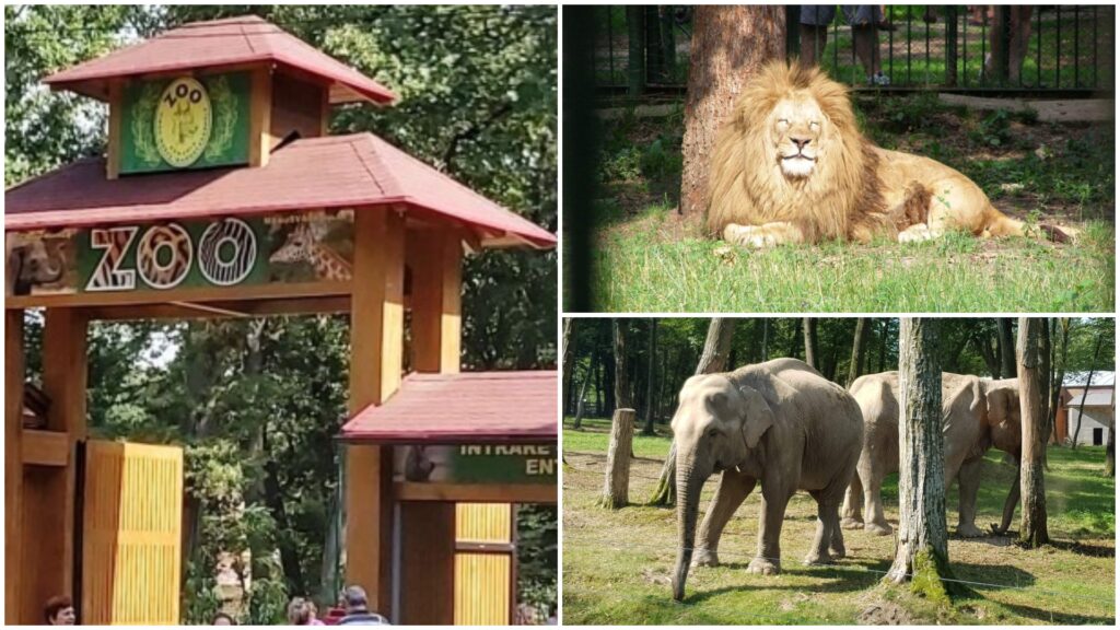 gradina-zoologica-targu-mures