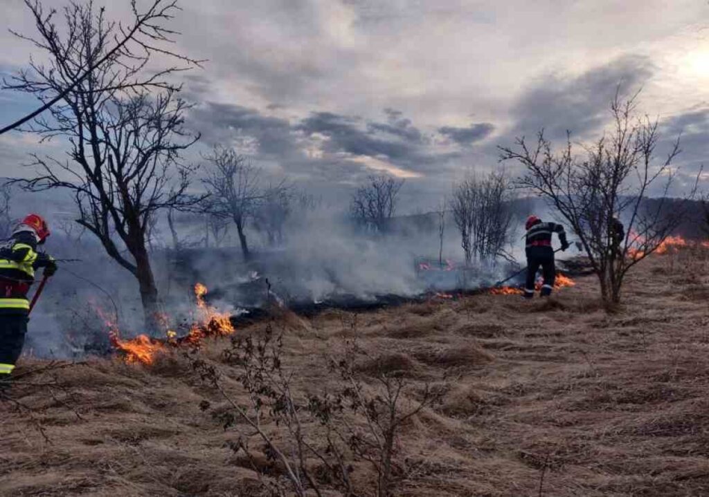 incendii-isu-dolj