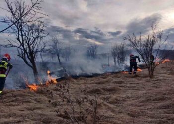 incendii-isu-dolj