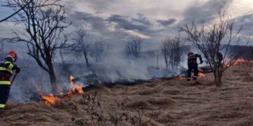 incendii-isu-dolj