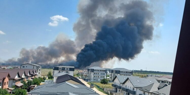 incendiu-Magurele