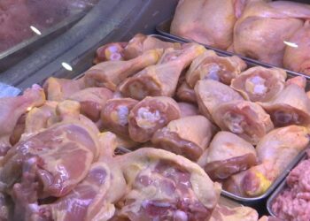 carne-pui
