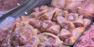carne-pui