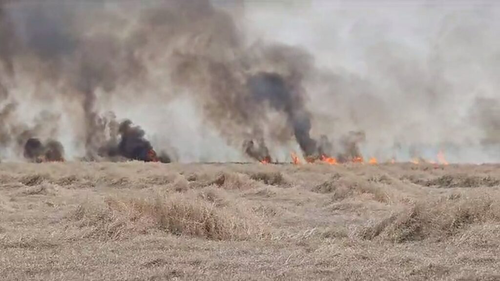 incendiu-satu-mare