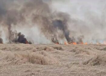 incendiu-satu-mare