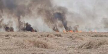 incendiu-satu-mare