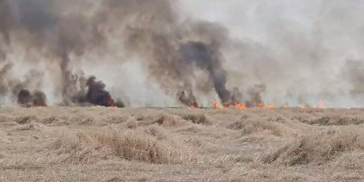 incendiu-satu-mare