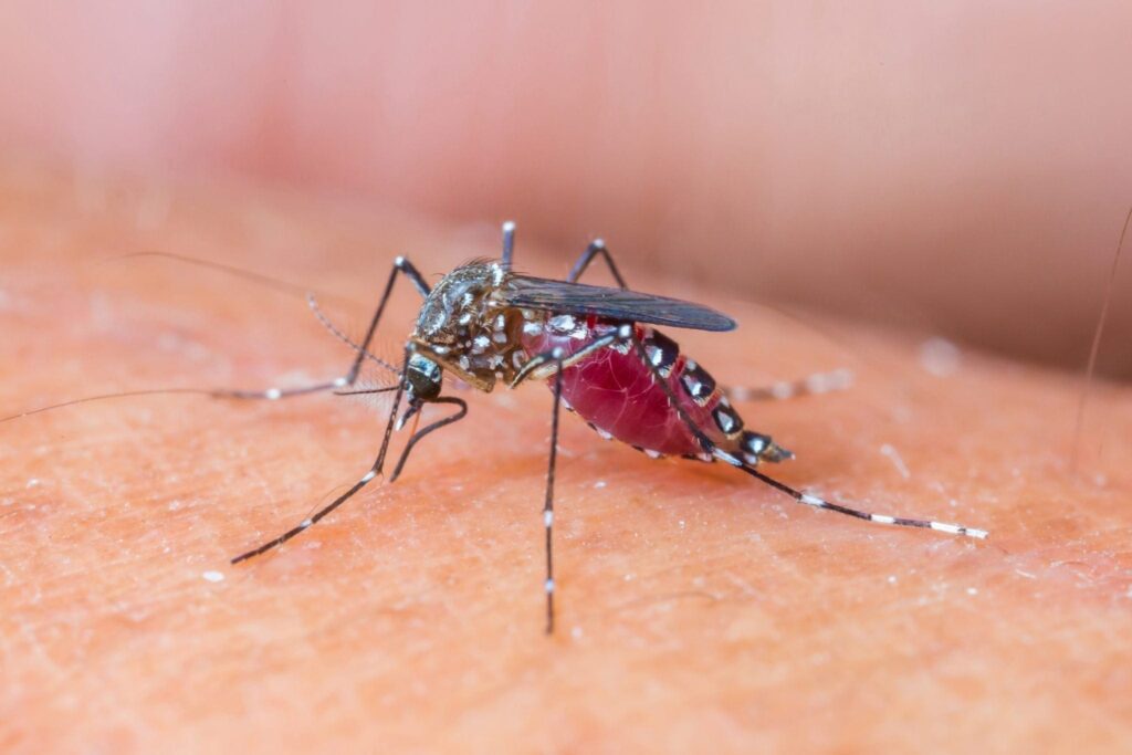 west-nile