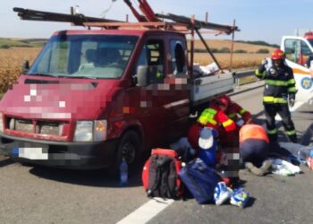 barbat-mures-A3