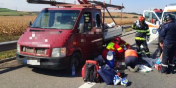 barbat-mures-A3