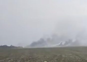 incendiu-sintesti-Ilfov