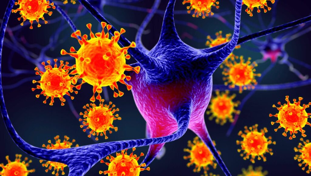 nipah-virus