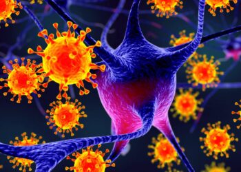 nipah-virus