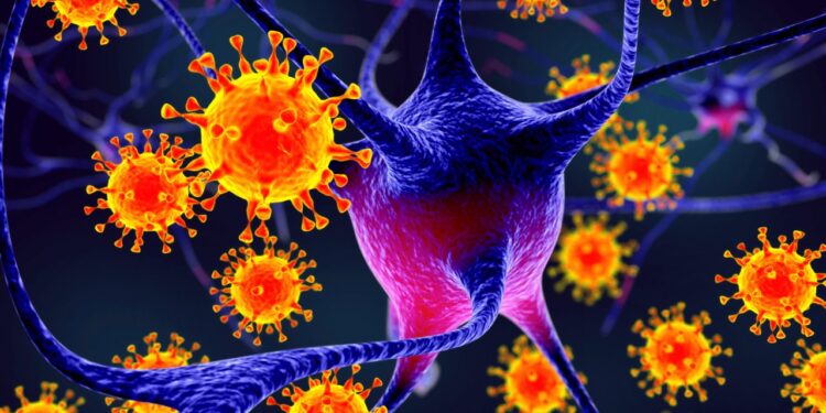 nipah-virus