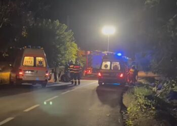 accident-Teleorman