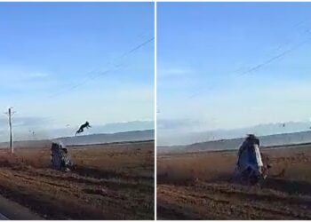 tanar-zburat-masina-vaslui-accident