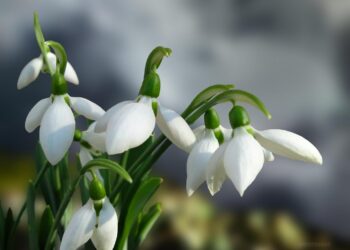 vremea-18-februarie