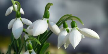 vremea-18-februarie