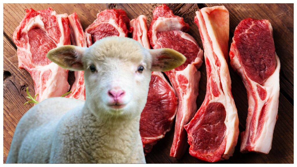 carne-de-miel-2