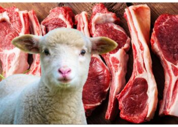 carne-de-miel-2