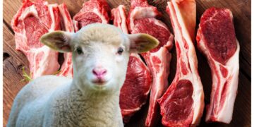 carne-de-miel-2