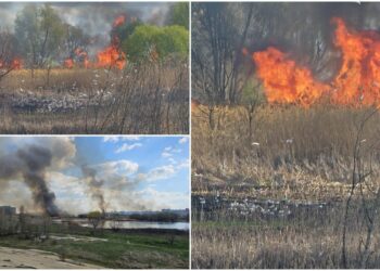 incendiu-Delta-Vacaresti