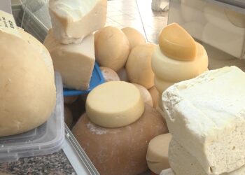 produse-lactate