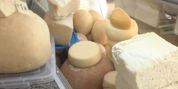 produse-lactate