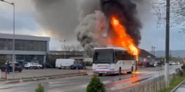 autocar-Moldova-Noua