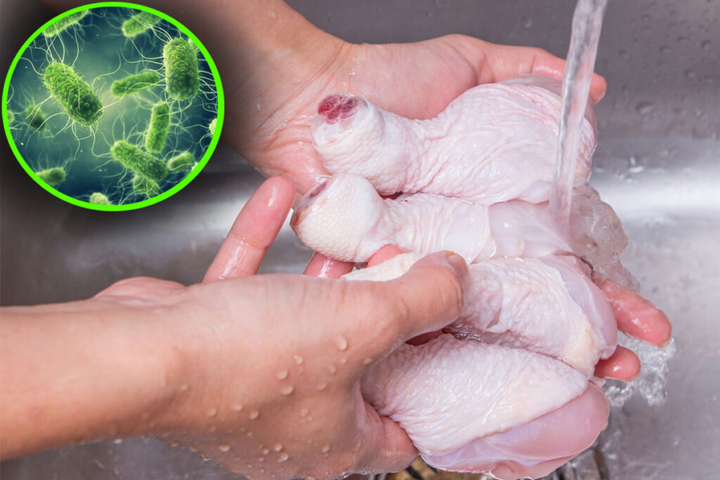 carne-de-pui-cu-salmonella