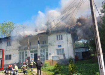 incendiu Plesoi-Dolj