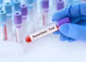 infectia-cu-norovirus