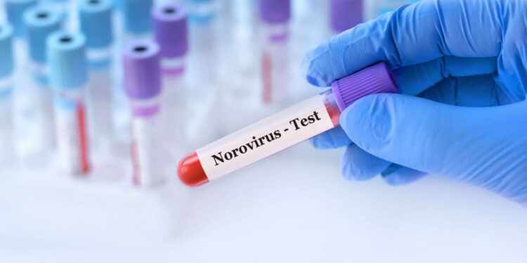 infectia-cu-norovirus