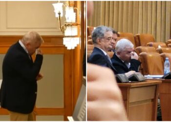 bataie-parlament-florin-roman-dan-vilceanu