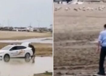 politisti-constanta-masina-impotmolita-plaja