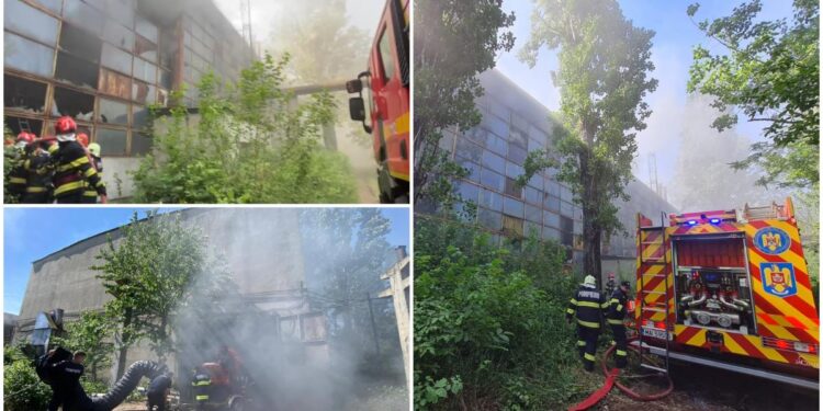 incendiu-hala-Ploiesti
