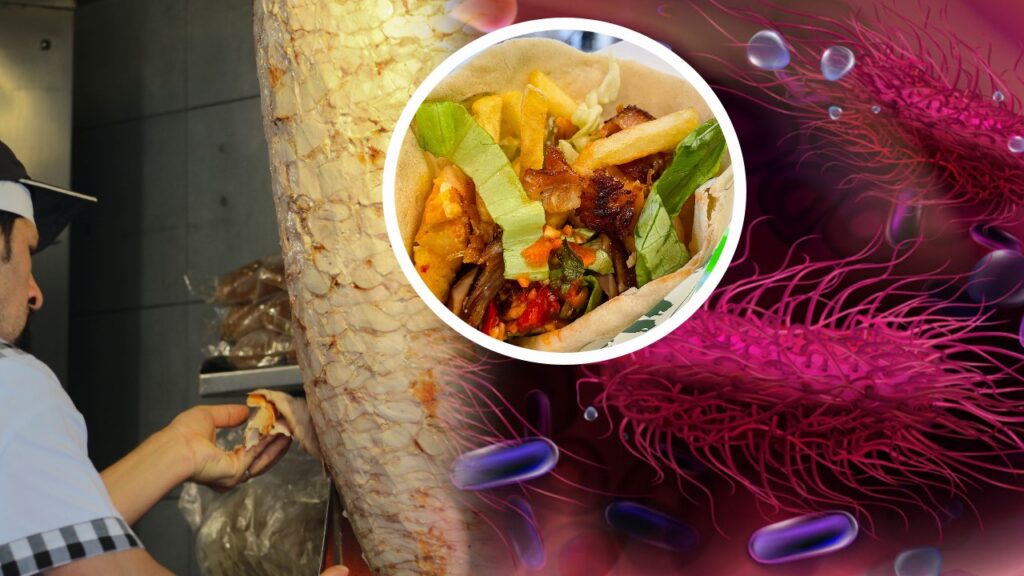 kebab-carne-urs