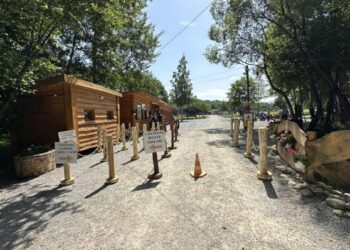 Parc-de-distractii