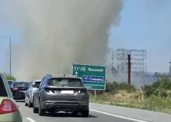 incendiu-vegetatie-autostrada-a2