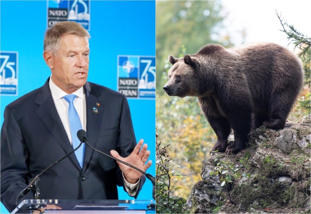 klaus-iohannis-urs-bucegi