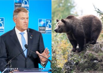 klaus-iohannis-urs-bucegi