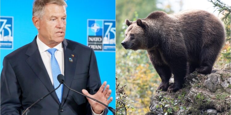 klaus-iohannis-urs-bucegi