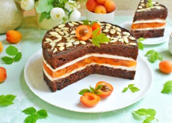tort-duo-chocolat