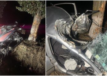 accident-Dolj-Plopsor