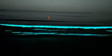 marea-neagra-valuri