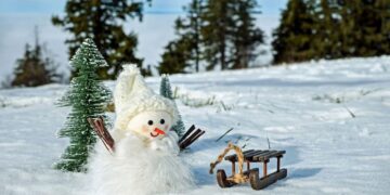 vremea-22-dec-2024