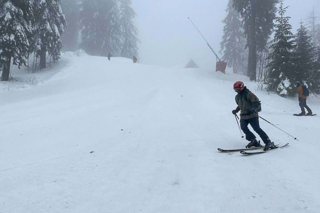 Sinaia-partii