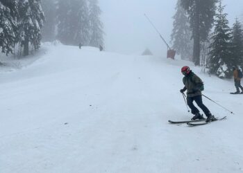 Sinaia-partii