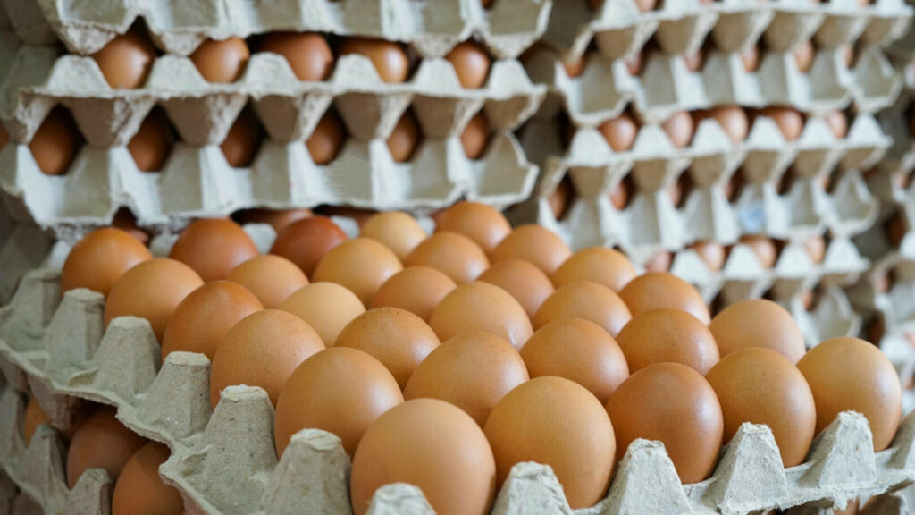 alerta-alimentara-oua